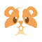 9907374 hamster lab 1634908324