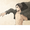 10113215 a strong python 1638330113