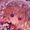 10572235 forliyscarlet 1647004640