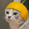 11351819 andor five 1659591087