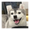 11087252 xhjackli 1680088602