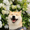 12836672 linxi456 1683619546