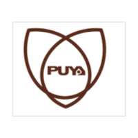 11225555 puya semiconductor 1689818559