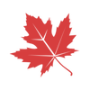 7722316 mapleleaves flying 1692869473