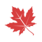 7722316 mapleleaves flying 1692869473