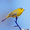 12381731 web json 1694753492