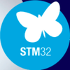 12611588 stm32 doc 1697011253
