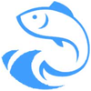 12911976 xgotool 1702378191