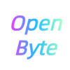 13631763 open byte 1718613990