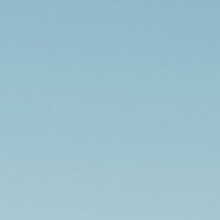 370519 syqc 1724494061
