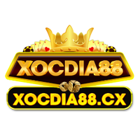 15008016 xocdia88cx 1728750168