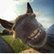 9239704 grumpy code cloud 1731045522