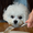 12328195 liqing yang 1732170147
