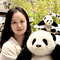14361374 cheng mandy 1736324105