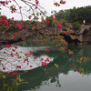 5508670 cao zhen feng 1740586029