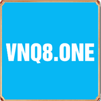 15538666 vnq8one 1741255067
