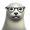 15398578 tongl2 1742628841