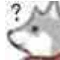 12273505 mistycn 1743820425
