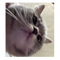 5616058 mangochan 1744092578