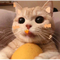 15760880 jubilant yeu 1745568869