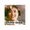 12496409 fanghuameng 1746580138