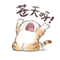 12890475 xzhiwen 1747568796