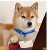 13896332 wxq842985461 1749525208