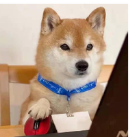 13896332 wxq842985461 1749525208