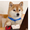 13896332 wxq842985461 1749525208
