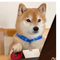 13896332 wxq842985461 1749525208