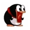 9302456 xdx coder dev 1750304469