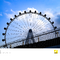 9377121 dotnet lemon 1751088453