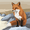 6549107 code fox 1763285954