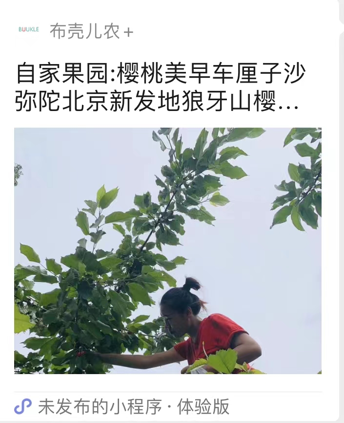 小程序