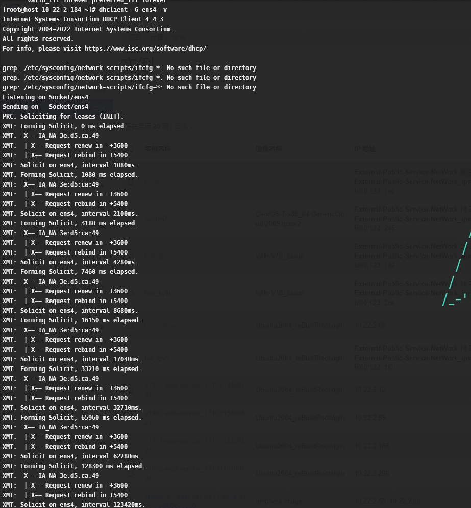 dhclicent -6 ens4 无法正常获取ipv6 地址