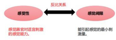 输入图片说明