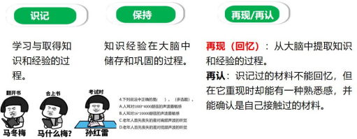 输入图片说明