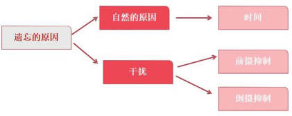 输入图片说明