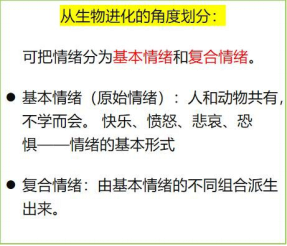 输入图片说明
