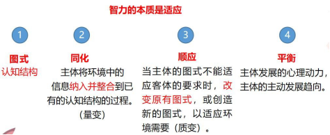 输入图片说明