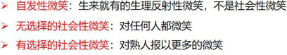输入图片说明