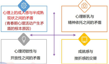 输入图片说明